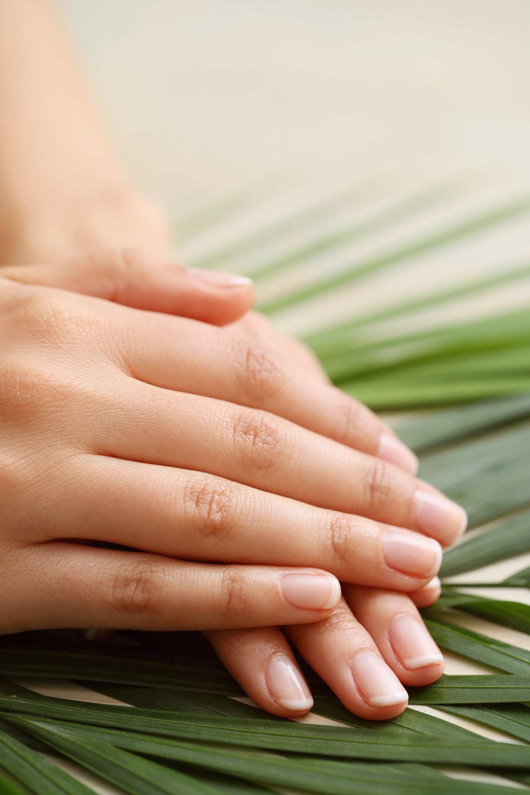 Hands resting on palm leaves, St. Pete spa.